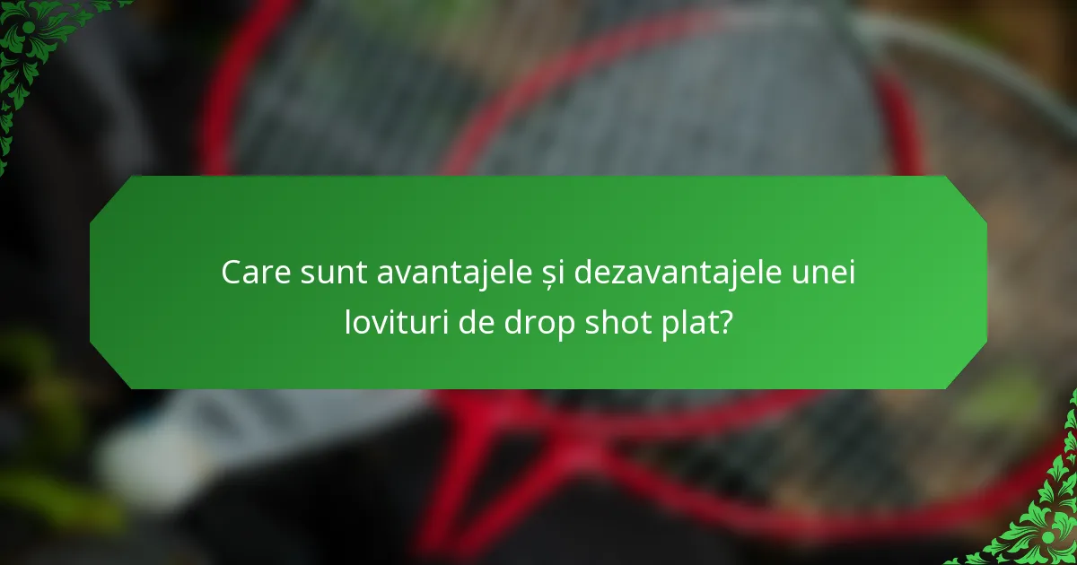 Care sunt avantajele și dezavantajele unei lovituri de drop shot plat?