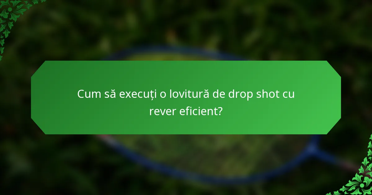 Cum să execuți o lovitură de drop shot cu rever eficient?